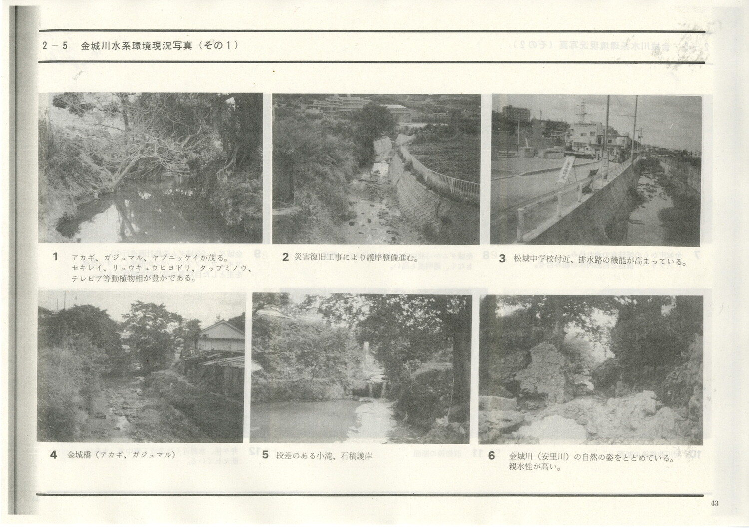 首里城公園基本計画　1984/06　沖縄県
