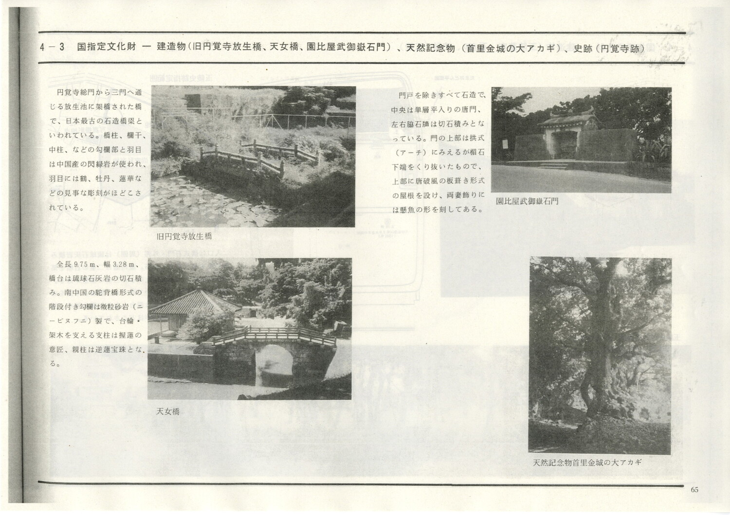 首里城公園基本計画　1984/06　沖縄県